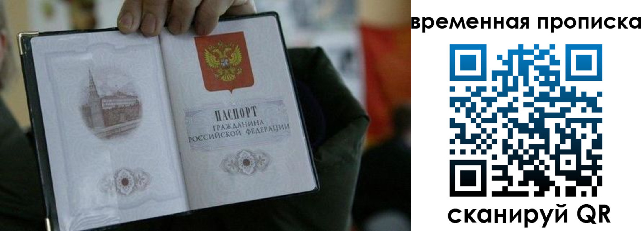 найти адрес прописки в Нововоронеже